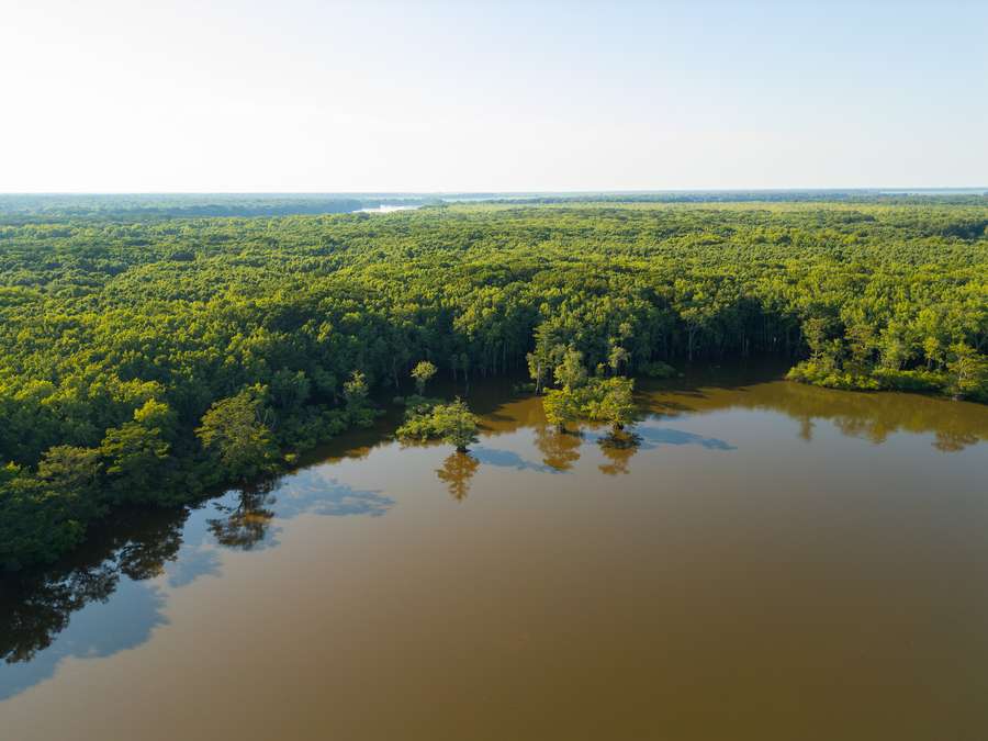 DJI_0007_copyf06d1.jpg