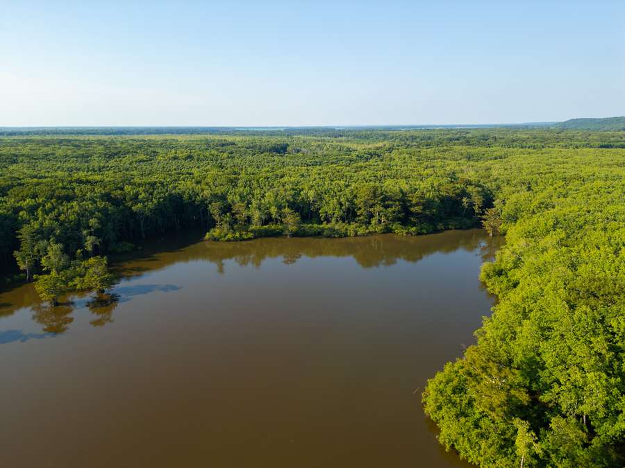 DJI_0008_copy0e741.jpg