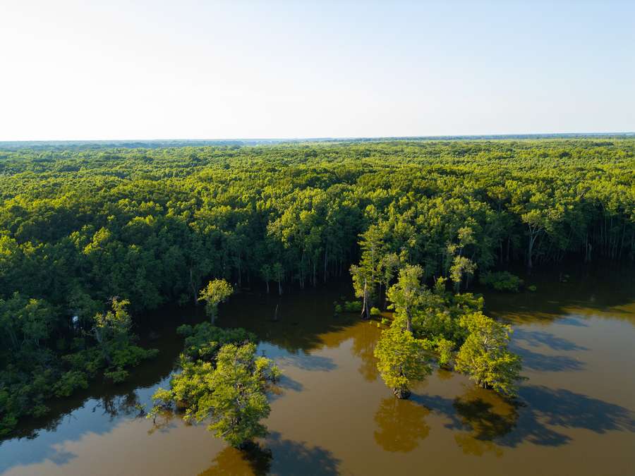 DJI_0010_copy31101.jpg