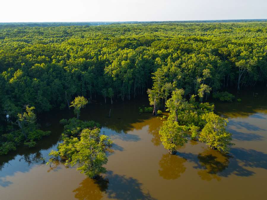 DJI_0011_copyb3511.jpg