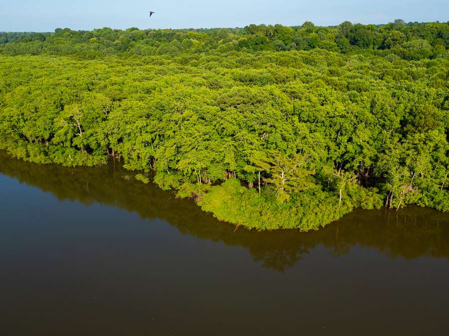 DJI_0012_copy71db1.jpg