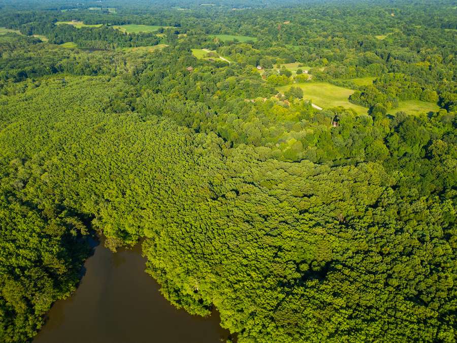 DJI_0015_copyded21.jpg