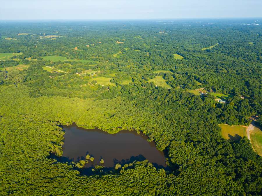 DJI_0017_copy69a41.jpg