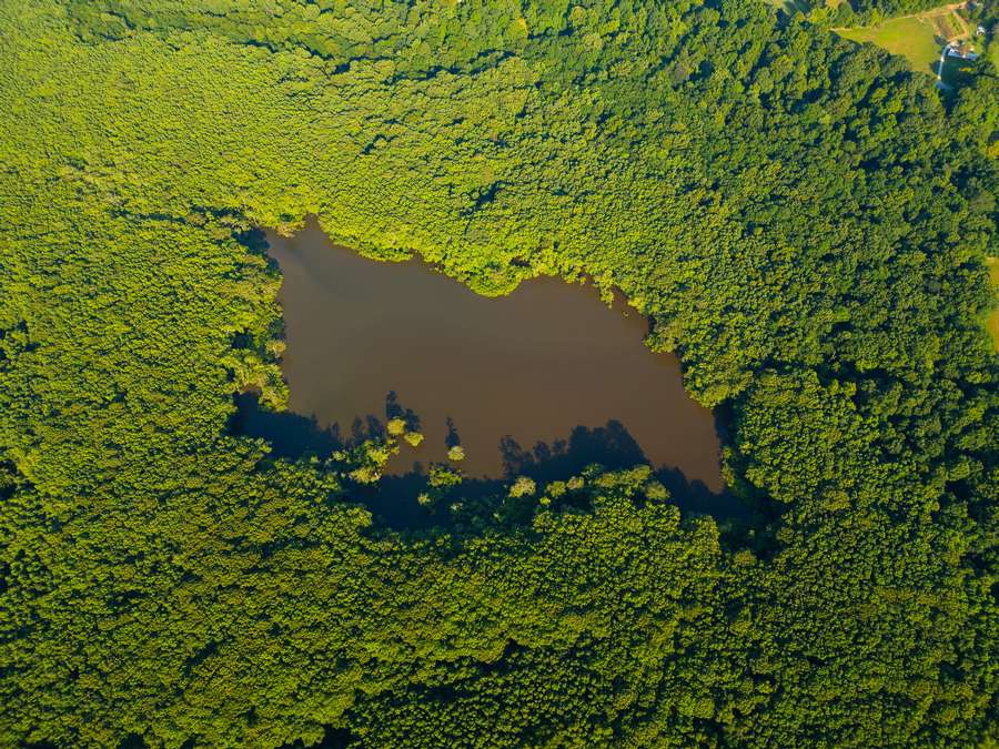 DJI_0019_copy4b191.jpg