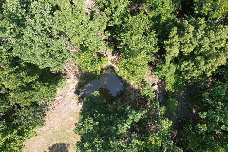DJI_0038d93f.jpg