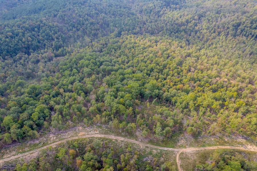 000 MADISON CR 410, FREDERICKTOWN | MADISON COUNTY MO 8 (TRACT #119A) - AVAILABLE