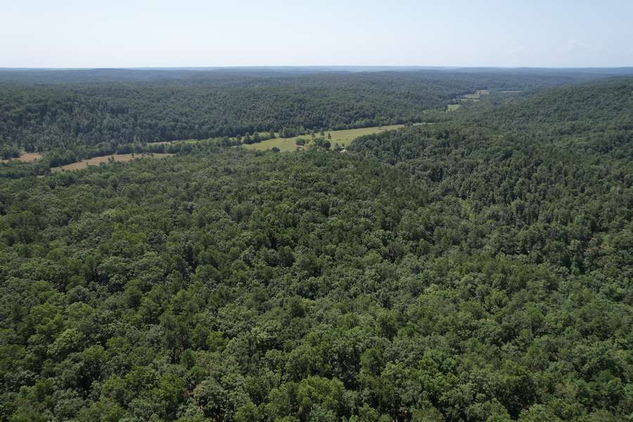 DJI_0044a94d1.jpg