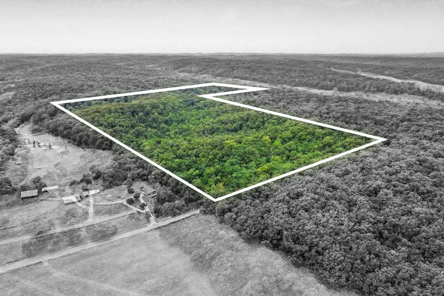 0 COUNTY ROAD 535, JACKSON | CAPE GIRARDEAU COUNTY MO 76.59 - AVAILABLE