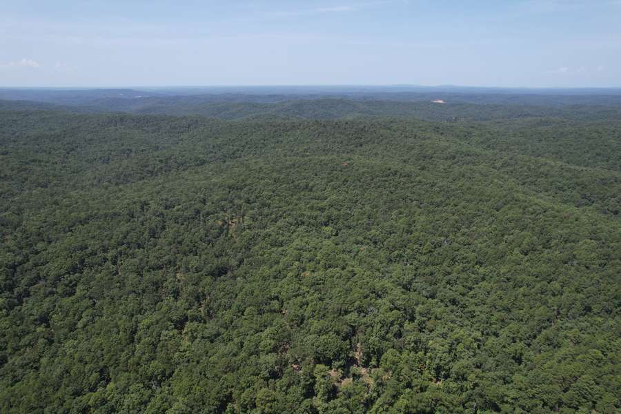 DJI_0061815a1.jpg