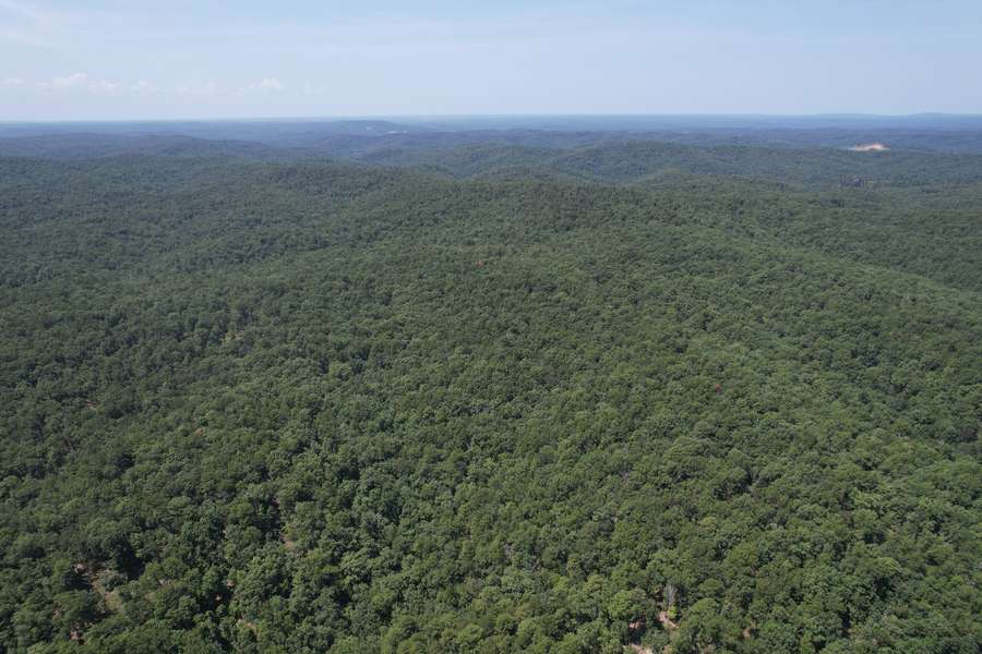 DJI_0062dd531.jpg