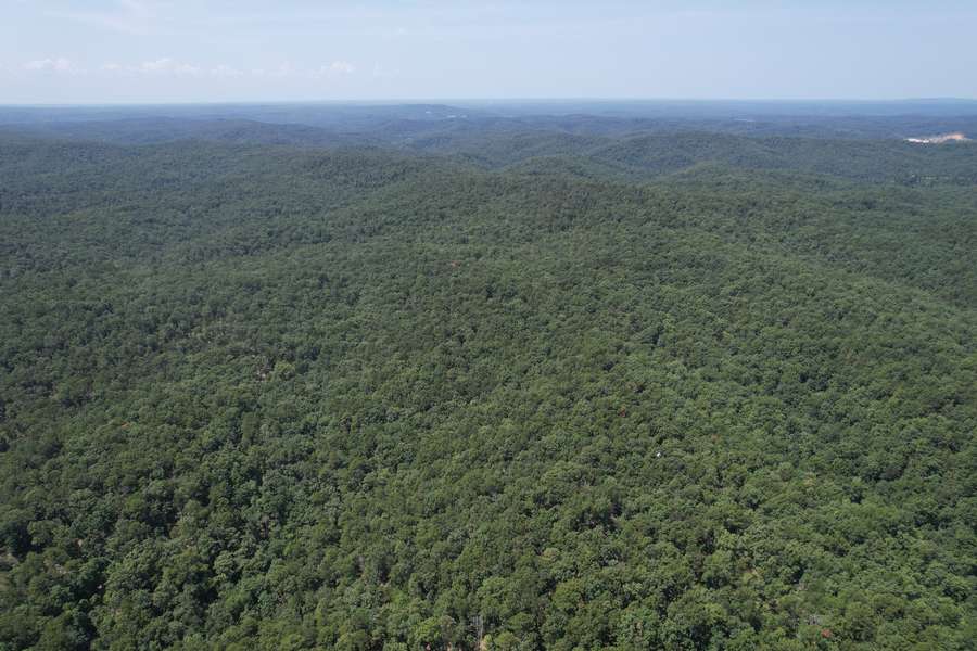 DJI_00635ba8.jpg