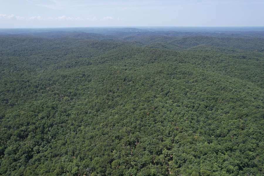 DJI_0064c3021.jpg