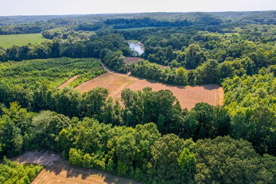 0 COUNTY RD. 530, WILLIAMSVILLE | WAYNE COUNTY MO 76 - AVAILABLE