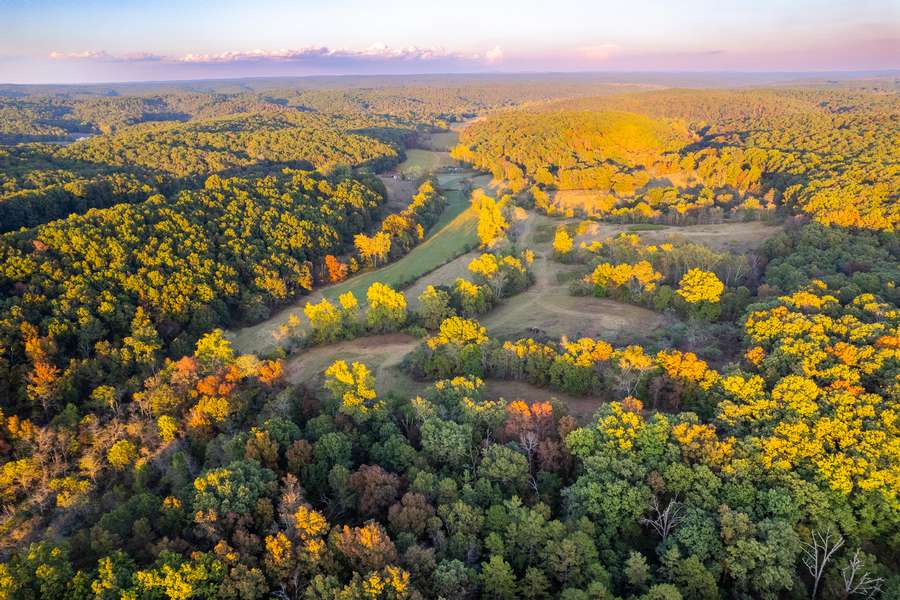 655 COUNTY RD. 930, BUNKER | REYNOLDS COUNTY MO 180 - AVAILABLE