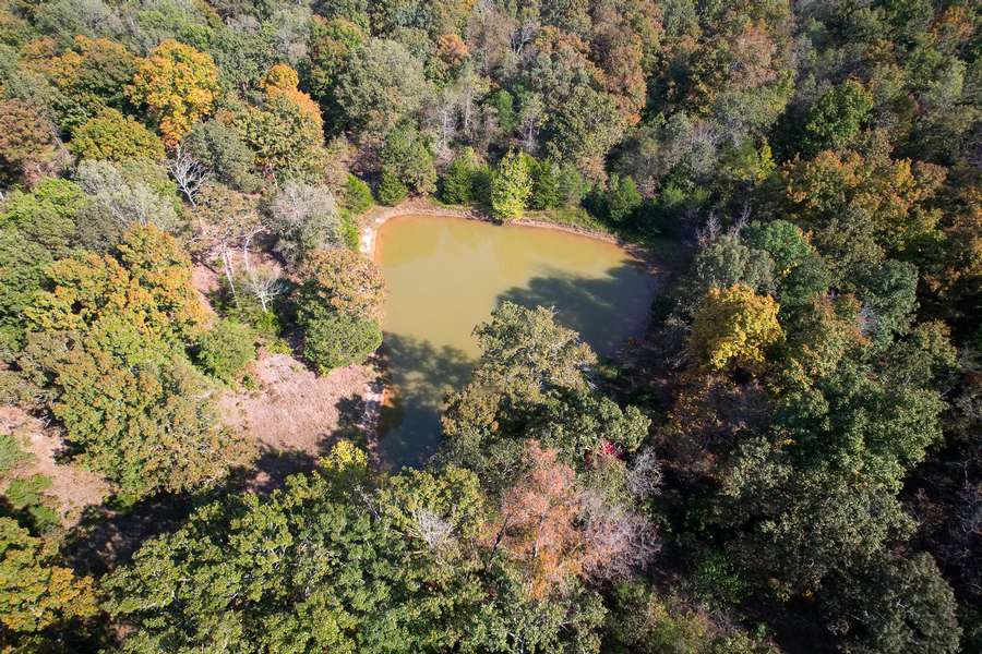 DJI_05606096.jpg
