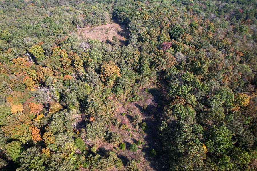 DJI_0573de77.jpg