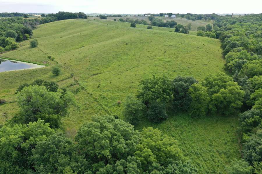 DJI_0728d9f5.jpg