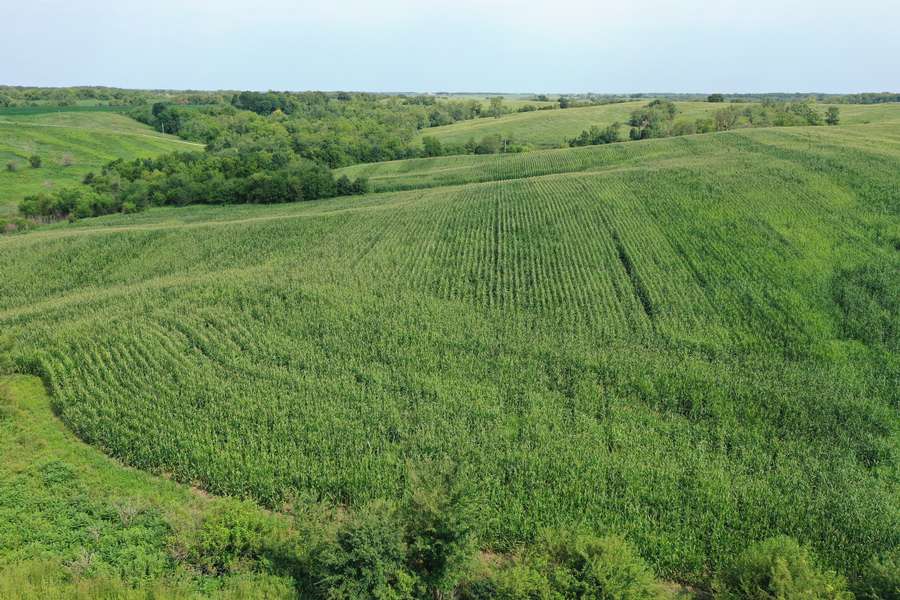 DJI_0747bd66.jpg