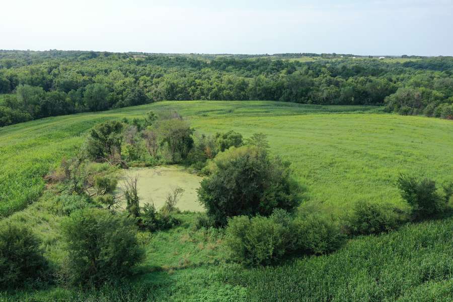 DJI_07486df7.jpg