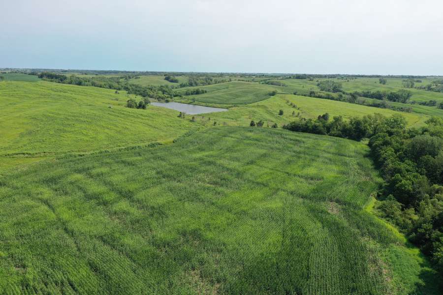 DJI_0762697b.jpg