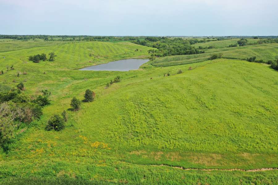 DJI_0764f9c8.jpg