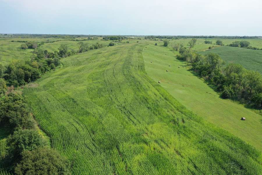 DJI_0765a09d.jpg