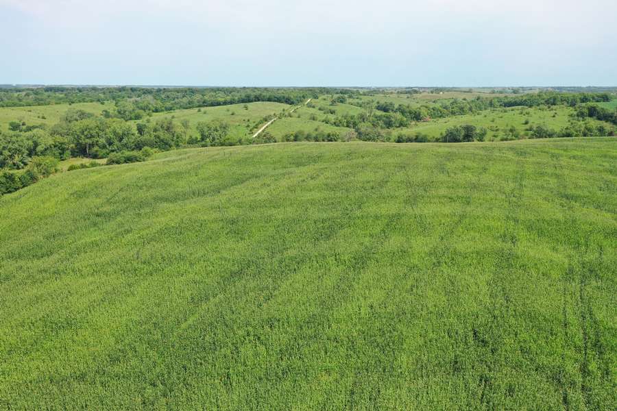 DJI_07723d38.jpg