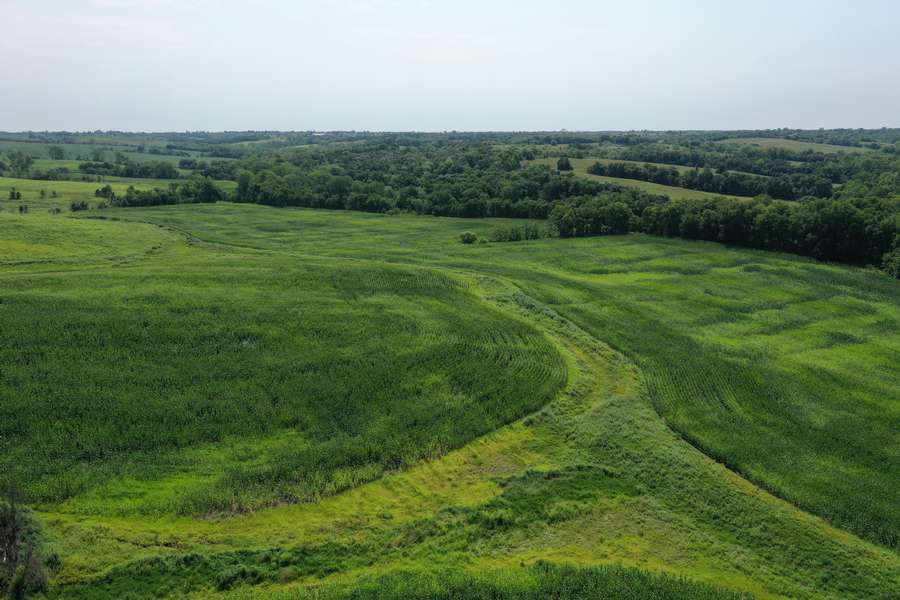 DJI_0773214e.jpg