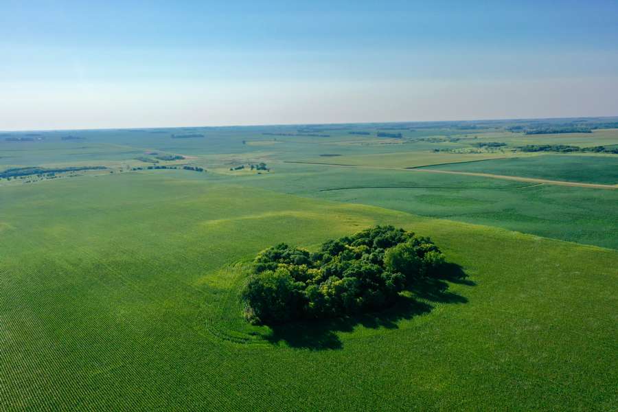 DJI_0774b665.jpg