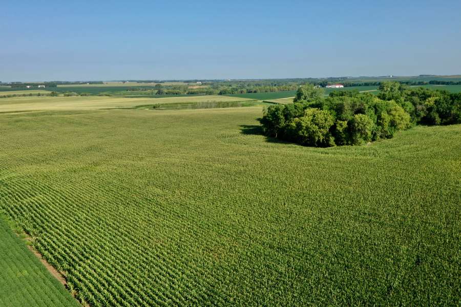 DJI_0780a83a.jpg
