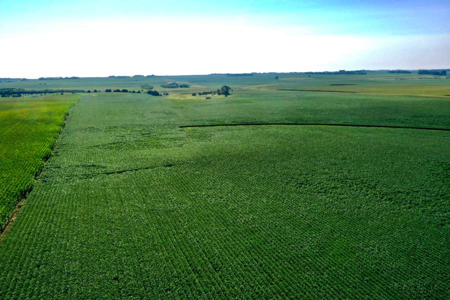 DJI_0783b99d.jpg