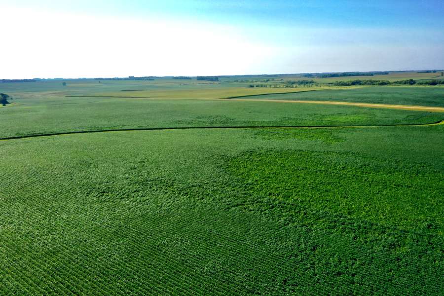 DJI_0784d99a.jpg