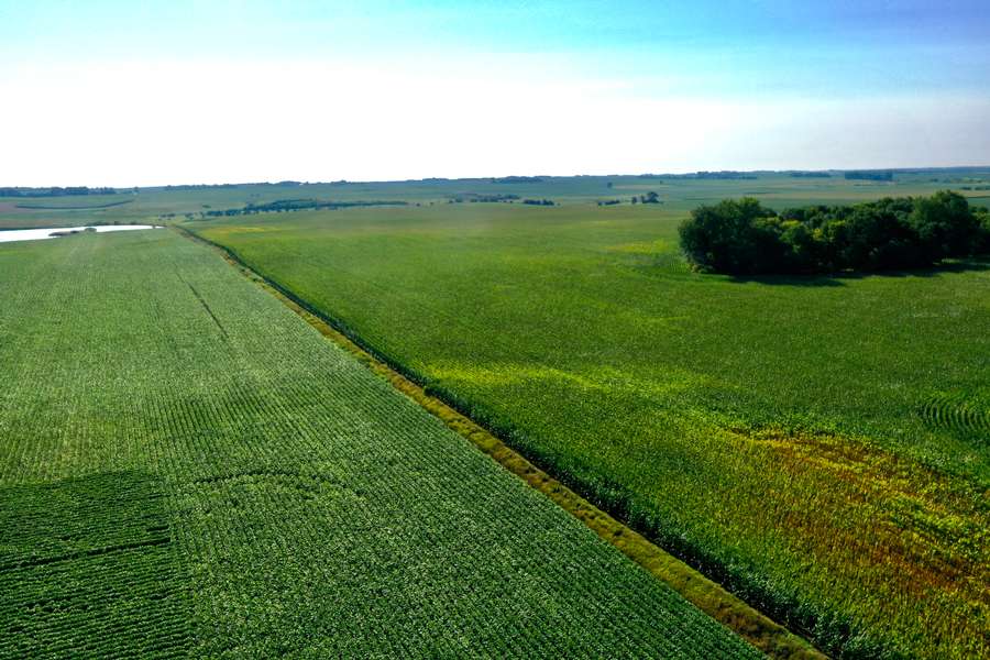 DJI_0787239b.jpg