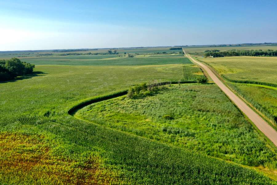 DJI_07889375.jpg