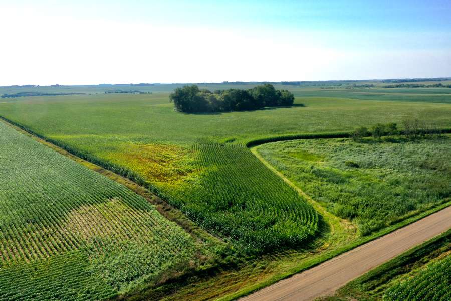 DJI_07896e1c.jpg