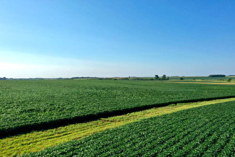 DJI_0801fa97.jpg