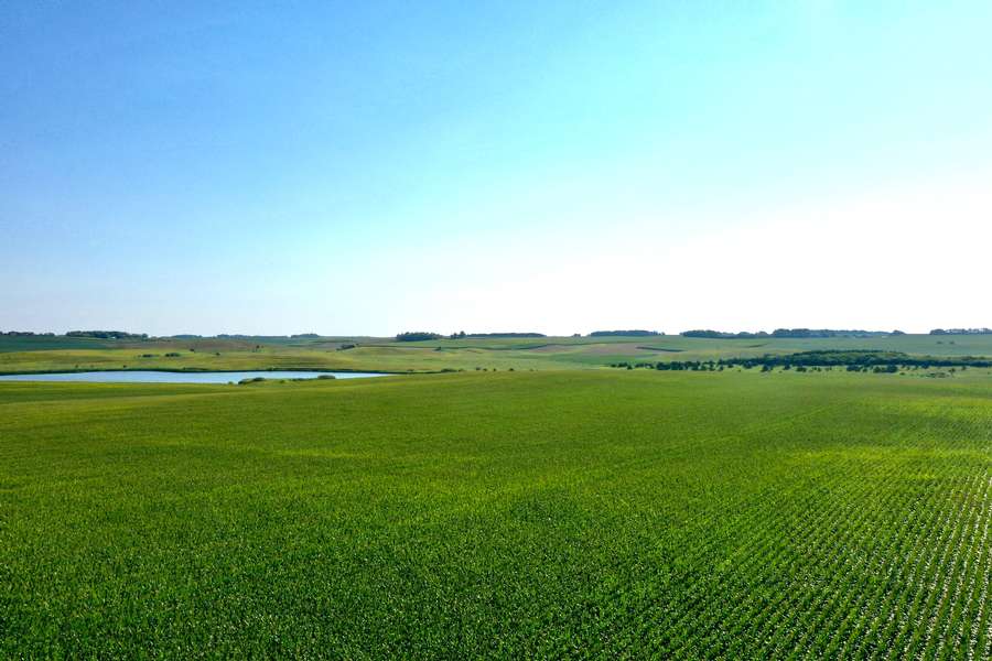 DJI_0804a805.jpg