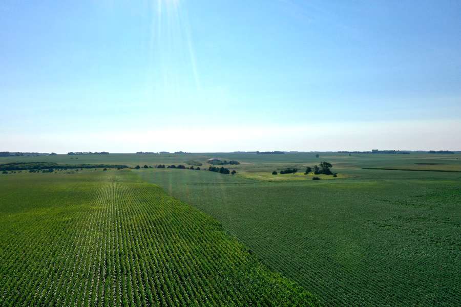 DJI_08058493.jpg