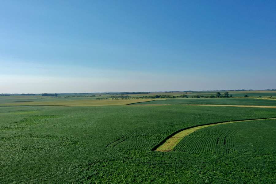DJI_0806b310.jpg