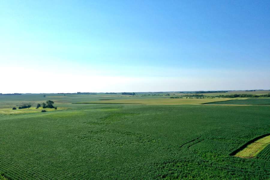 DJI_08079b16.jpg