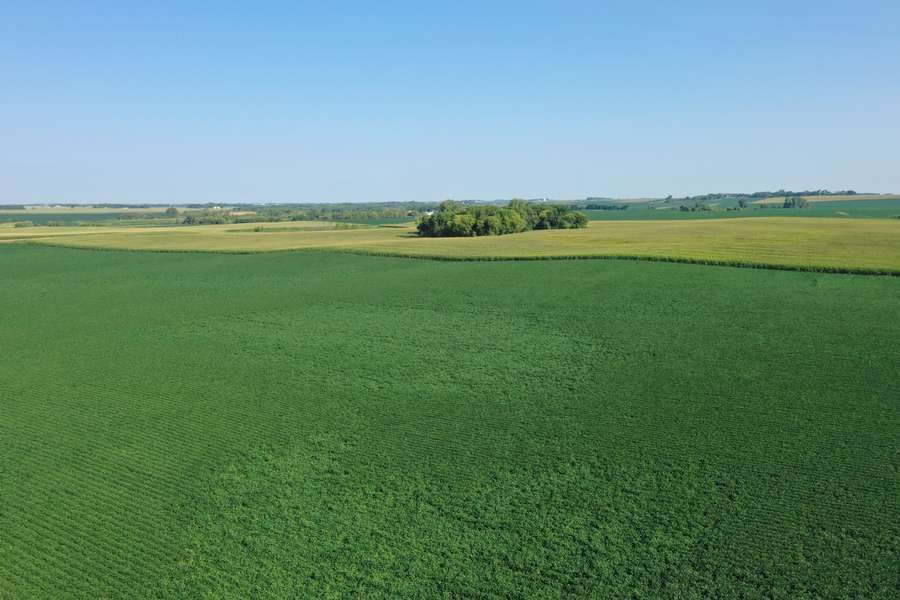 DJI_081130cd.jpg