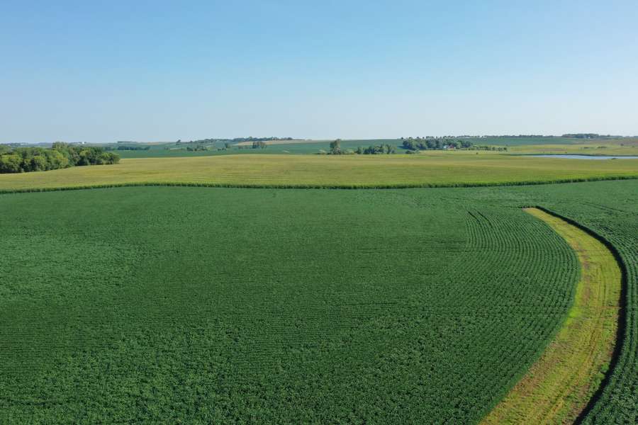 DJI_0812fdf7.jpg