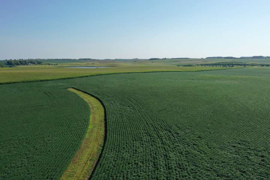 DJI_0813b977.jpg