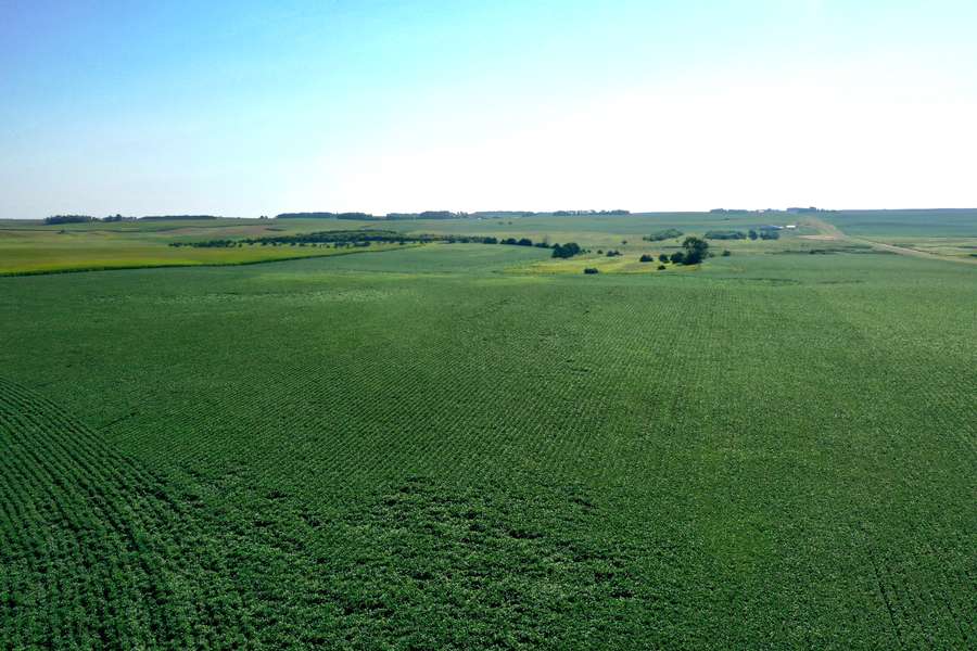 DJI_08142493.jpg