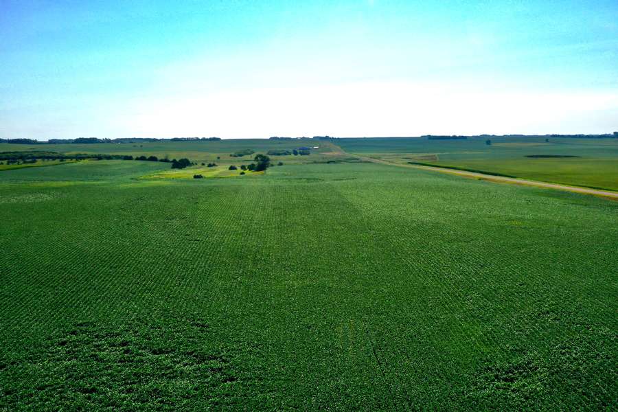 DJI_0815cf99.jpg