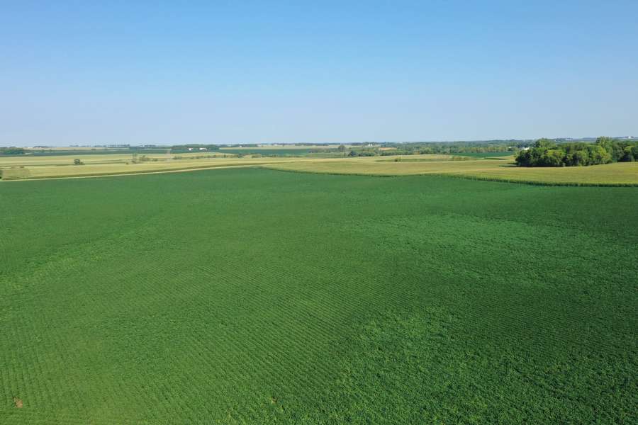 DJI_081795ad.jpg