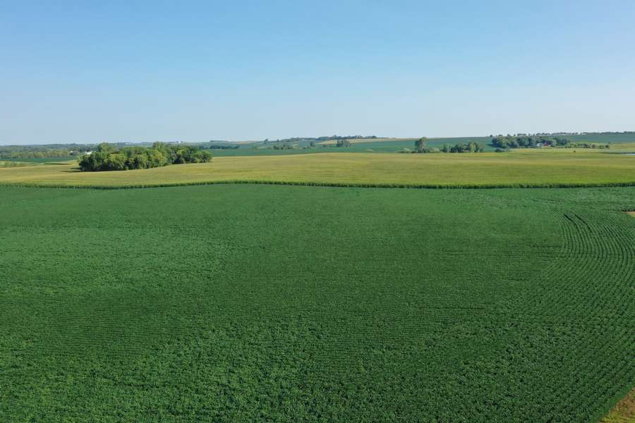 DJI_08181358.jpg