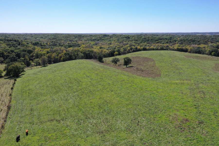 DJI_0824d78b.jpg