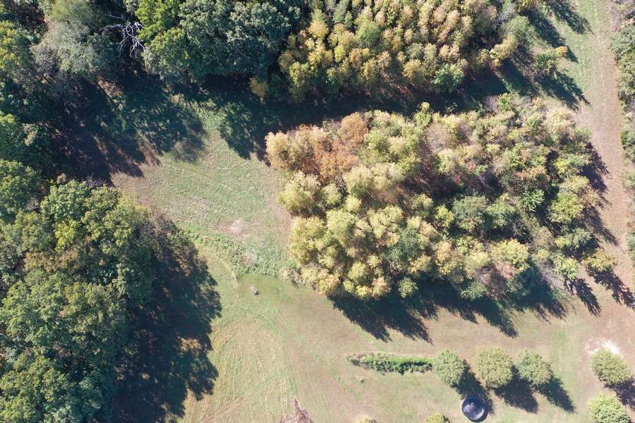 DJI_09054464.jpg