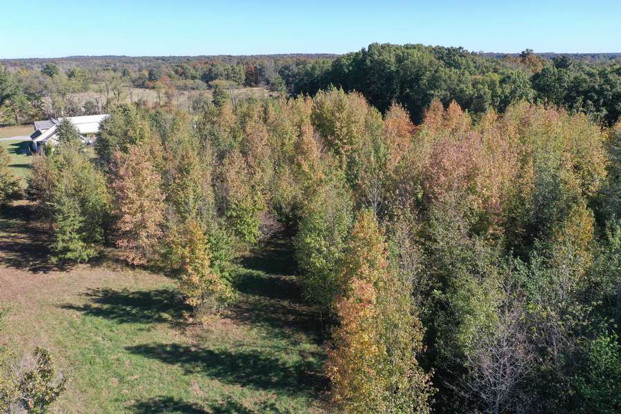 DJI_09392225.jpg